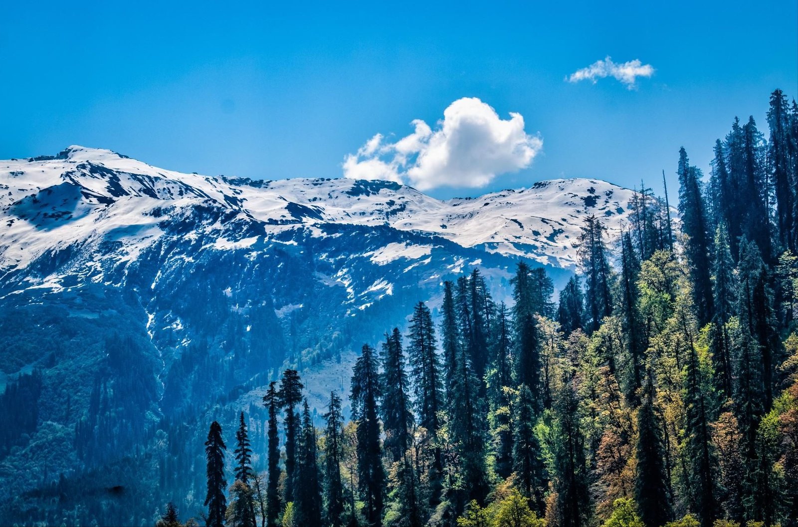 Adventurous Chandrakhani Pass Trek in Himachal Pradesh